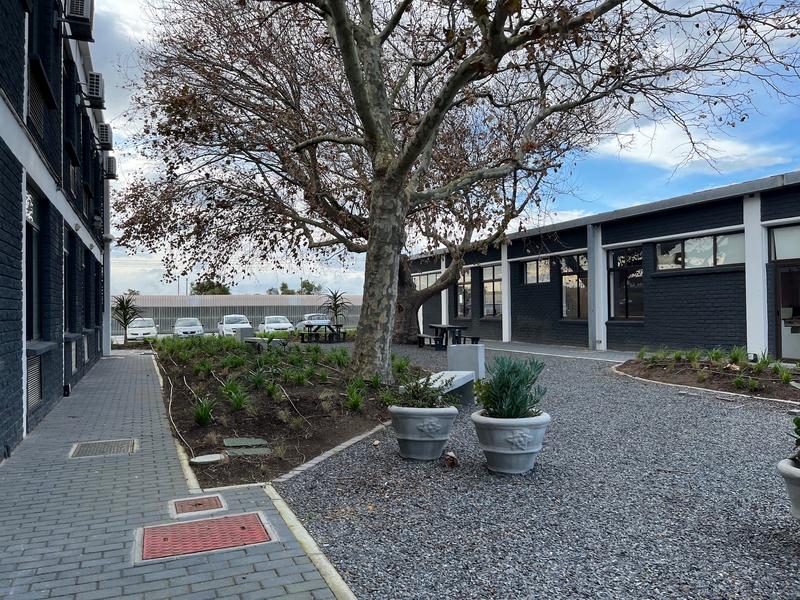 To Let Commercial Property for Rent in Retreat Western Cape
